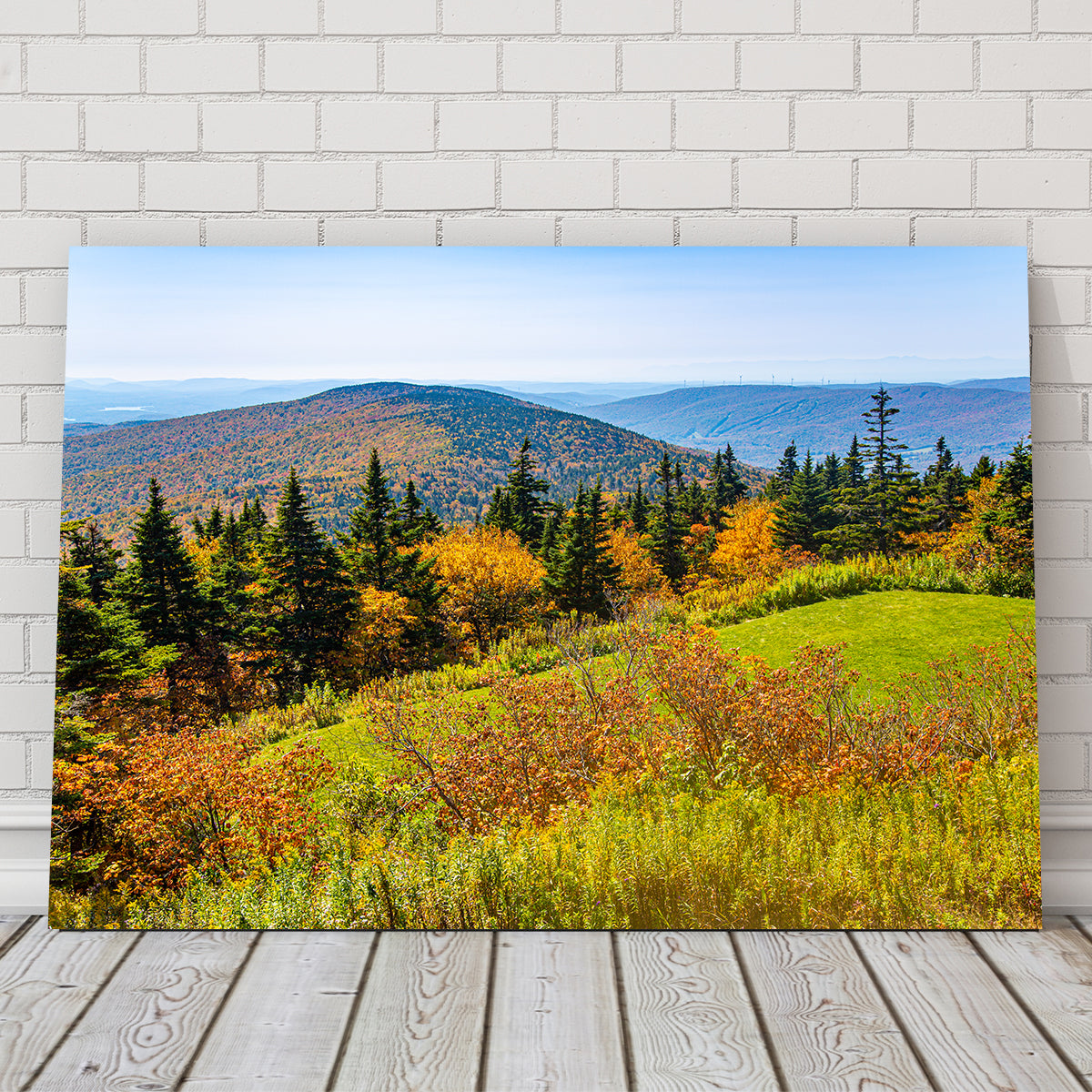 Mount Greylock Summit Wall Art