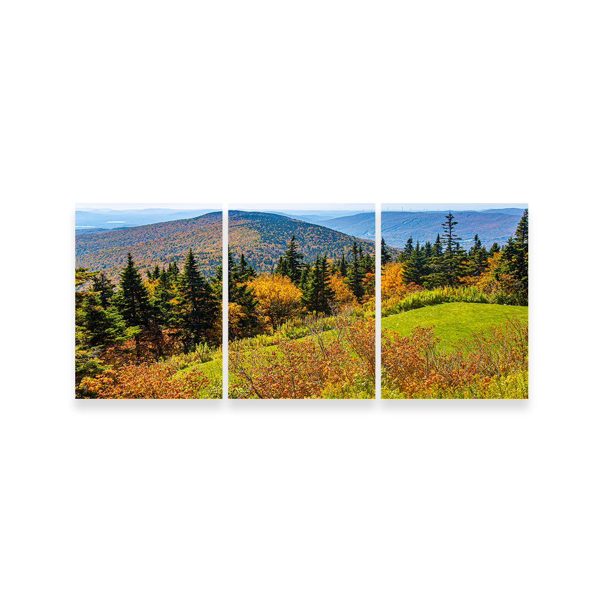Mount Greylock Summit Wall Art