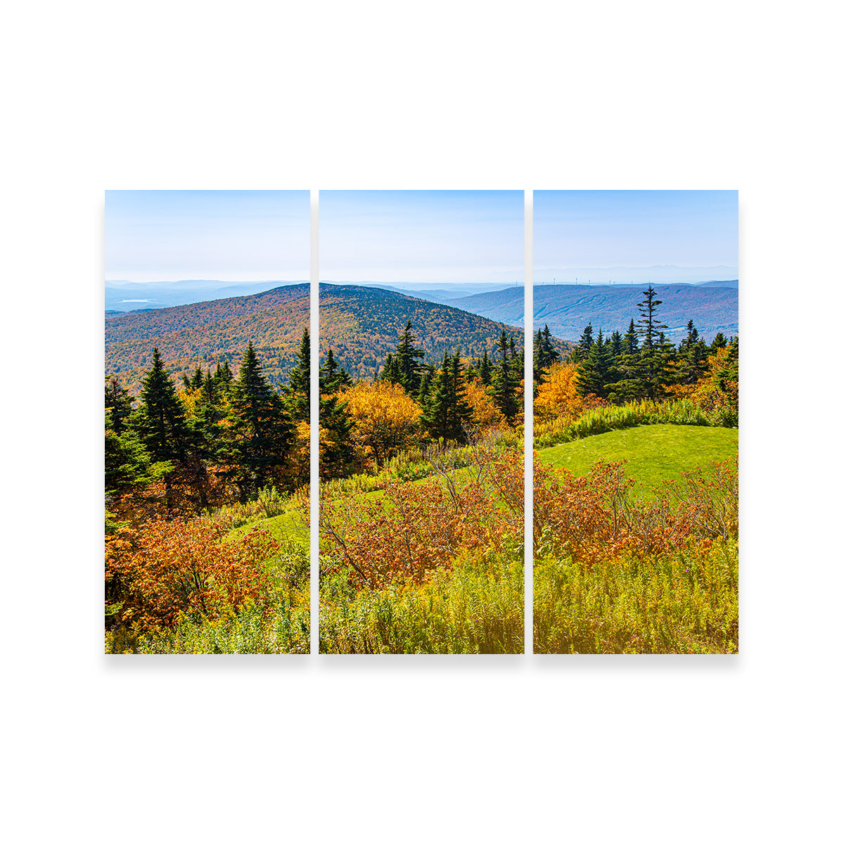 Mount Greylock Summit Wall Art