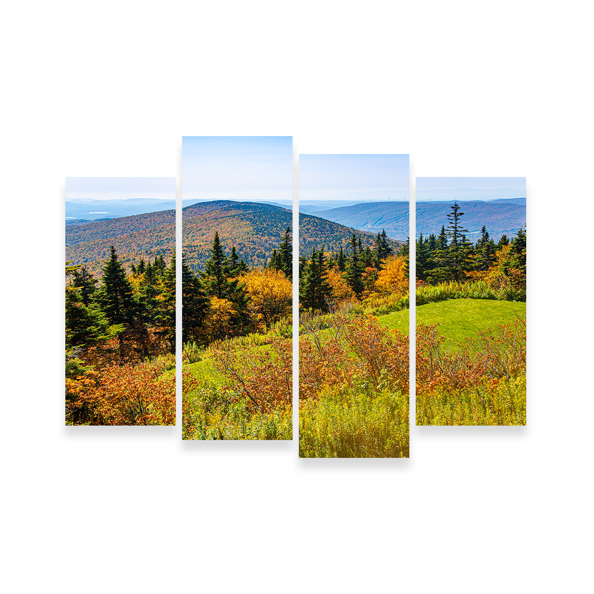 Mount Greylock Summit Wall Art