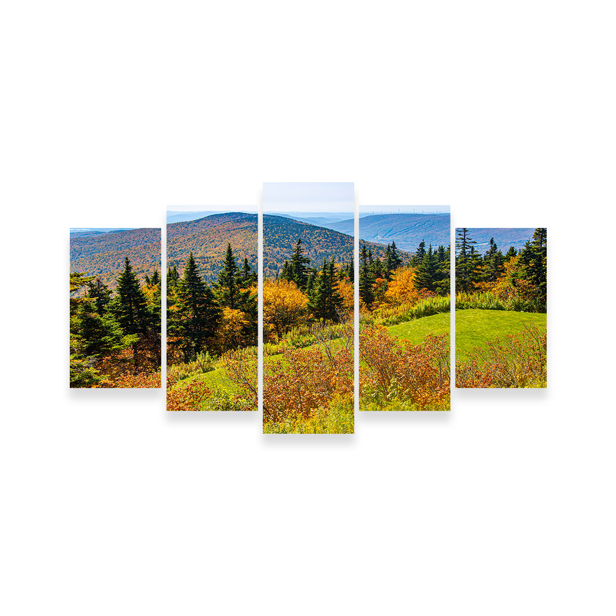 Mount Greylock Summit Wall Art
