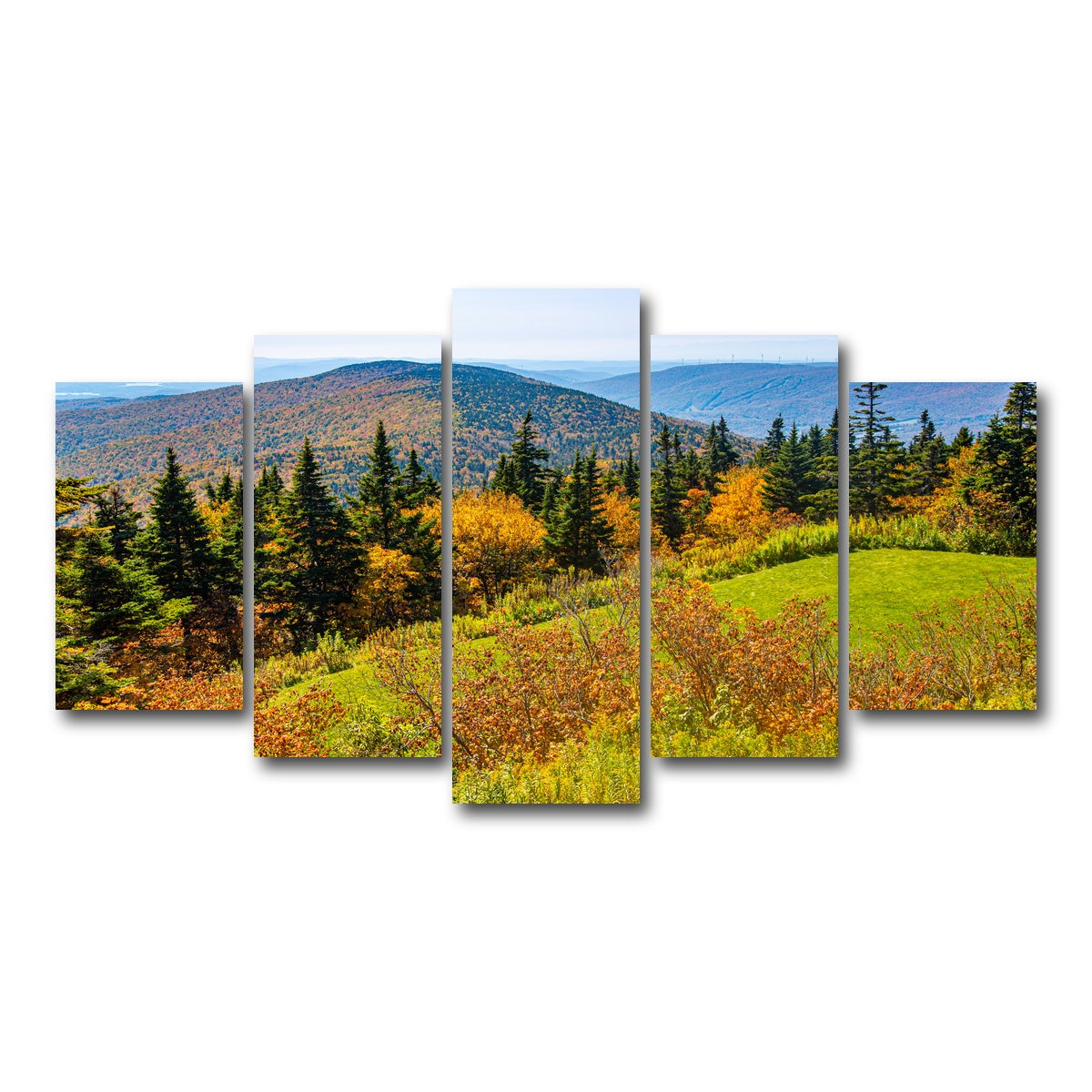 AUTO-MOCKUP WHITE | Mount Greylock Summit | 5 Piece | Gallery Wrap Canvas | group=5_normal