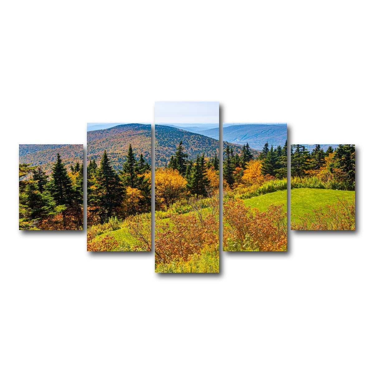 AUTO-MOCKUP WHITE | Mount Greylock Summit | 5 Piece | Gallery Wrap Canvas | group=5_short