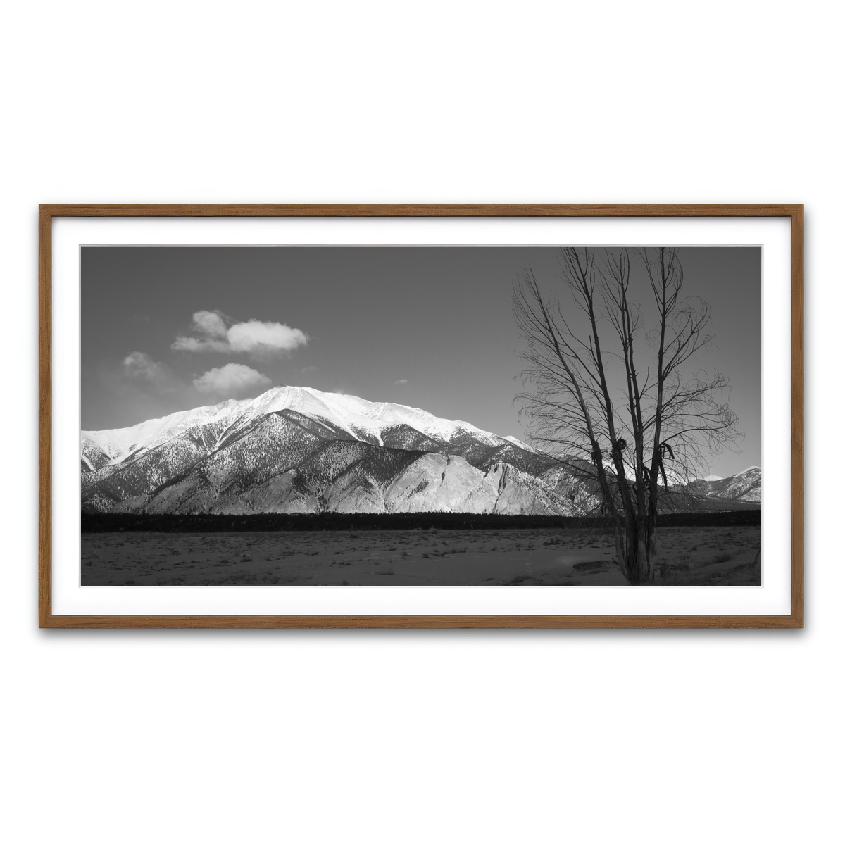 Framed Print 2x1 Walnut
