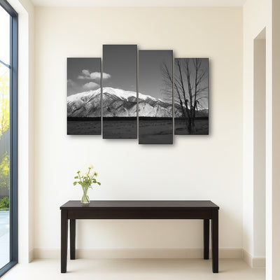 AUTO-MOCKUP ROOM | Mount Princeton Black and White