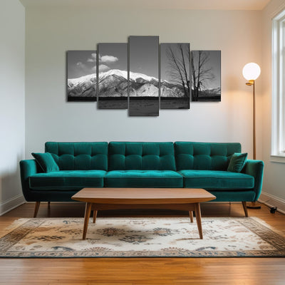 AUTO-MOCKUP ROOM | Mount Princeton Black and White