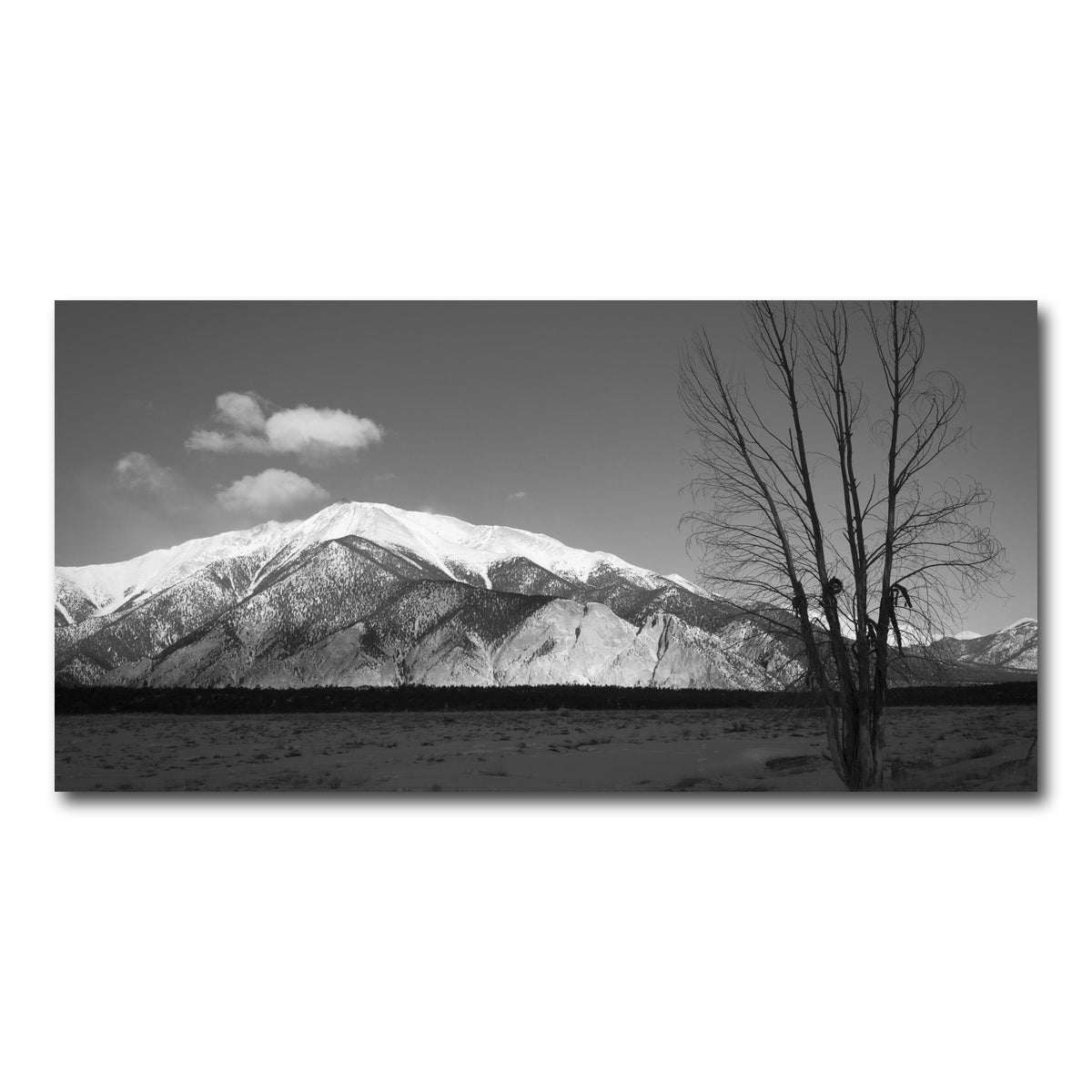 AUTO-MOCKUP WHITE | Mount Princeton Black and White | 1 Piece | Gallery Wrap Canvas | group=2x1