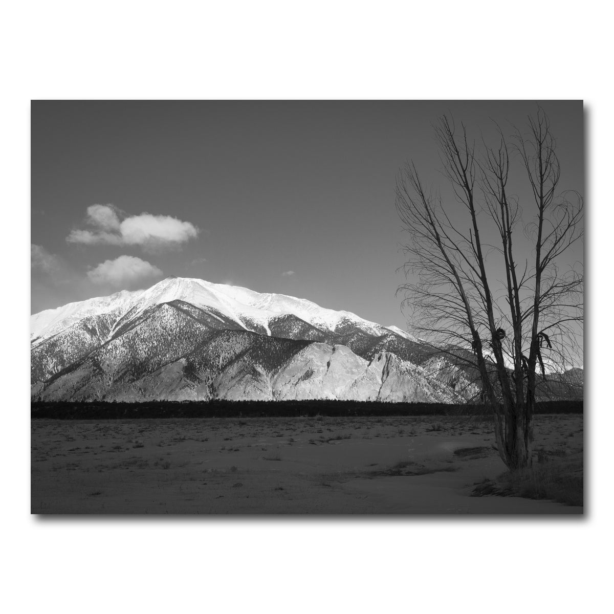 AUTO-MOCKUP WHITE | Mount Princeton Black and White | 1 Piece | Gallery Wrap Canvas | group=4x3