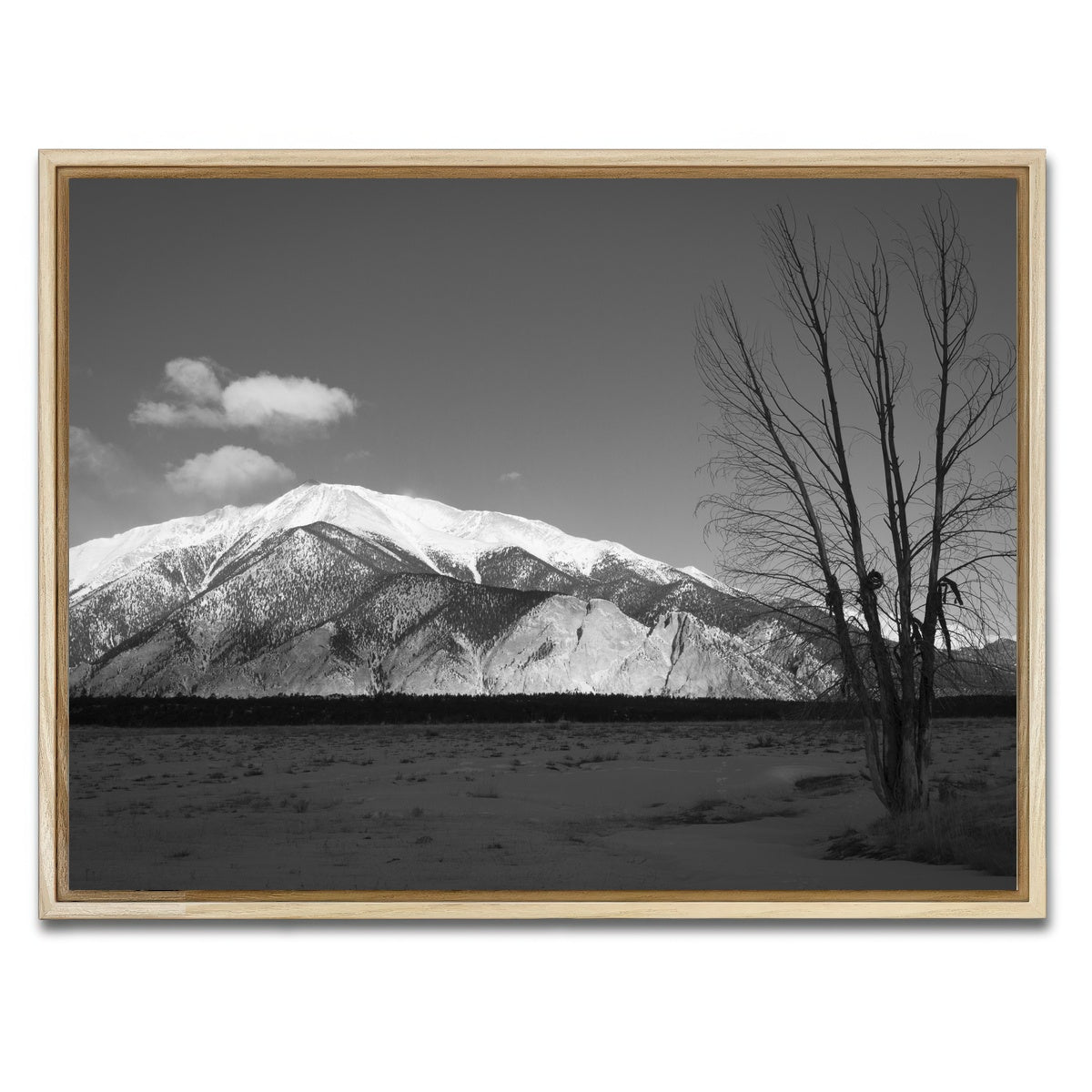 AUTO-MOCKUP WHITE | Mount Princeton Black and White | 1 Piece | Natural Framed Canvas | group=4x3