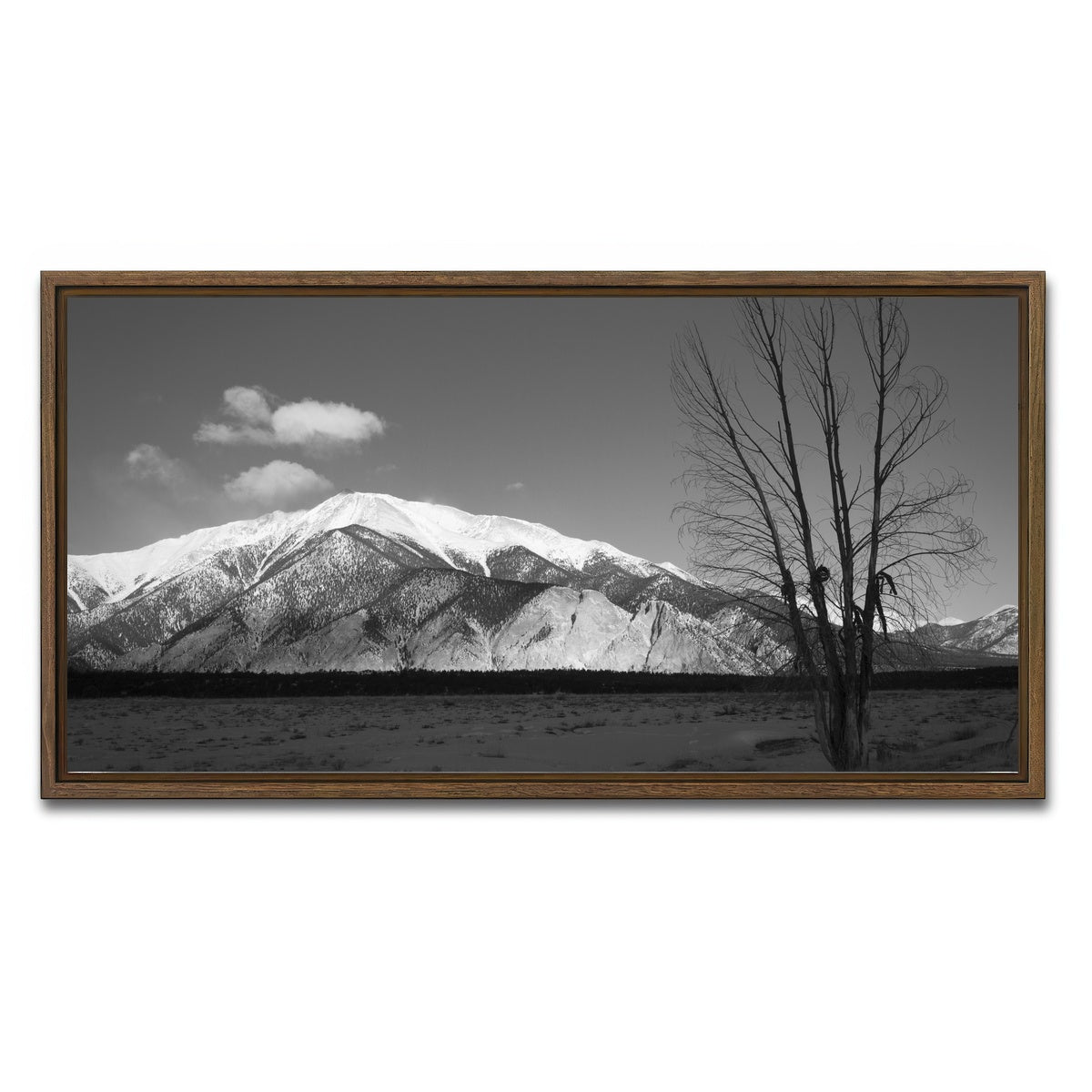 AUTO-MOCKUP WHITE | Mount Princeton Black and White | 1 Piece | Walnut Framed Canvas | group=2x1