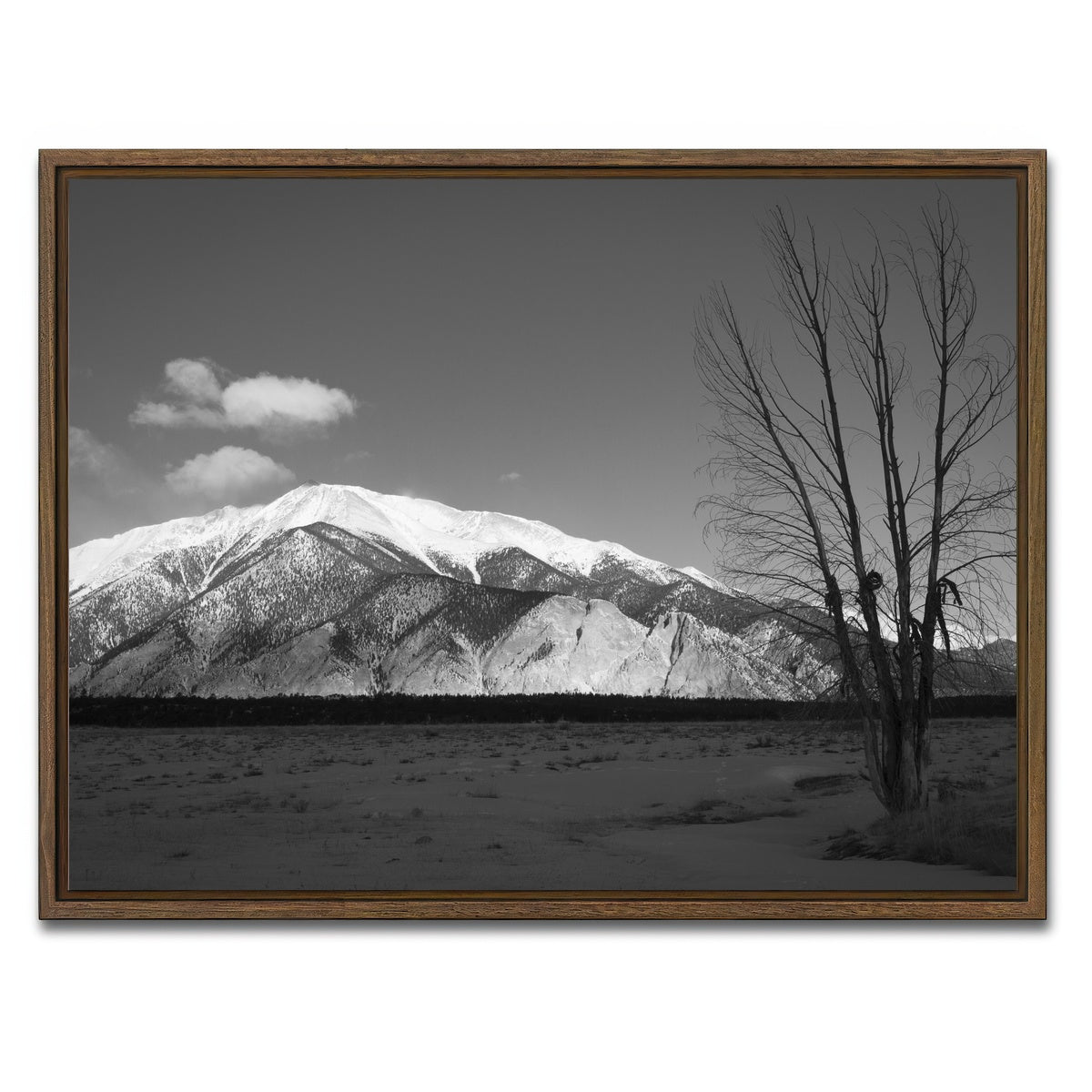 AUTO-MOCKUP WHITE | Mount Princeton Black and White | 1 Piece | Walnut Framed Canvas | group=4x3