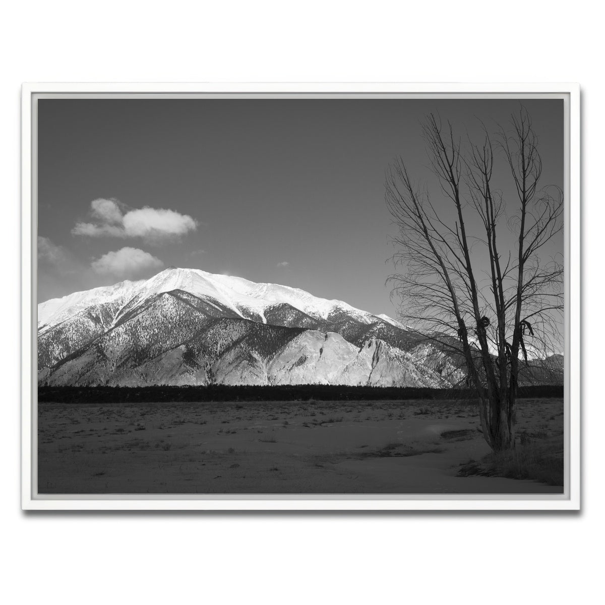 AUTO-MOCKUP WHITE | Mount Princeton Black and White | 1 Piece | White Framed Canvas | group=4x3