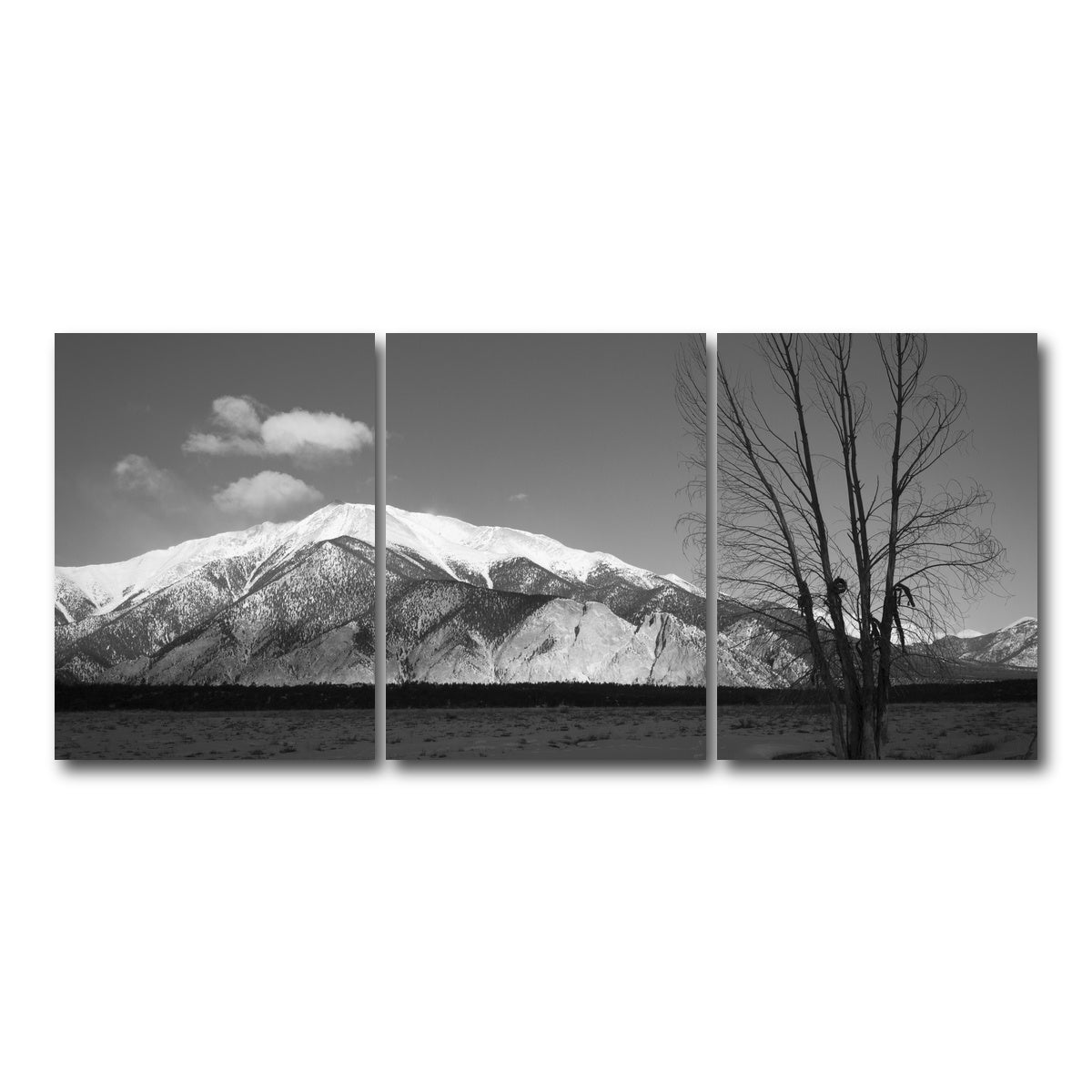 AUTO-MOCKUP WHITE | Mount Princeton Black and White | 3 Piece | Gallery Wrap Canvas | group=18x24