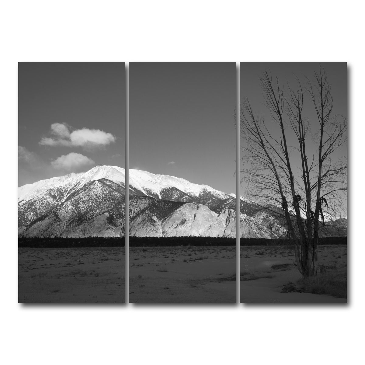AUTO-MOCKUP WHITE | Mount Princeton Black and White | 3 Piece | Gallery Wrap Canvas | group=8x18