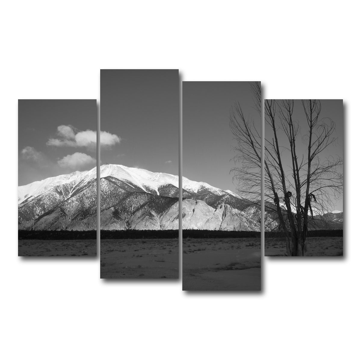 AUTO-MOCKUP WHITE | Mount Princeton Black and White | 4 Piece | Gallery Wrap Canvas | group=4_short