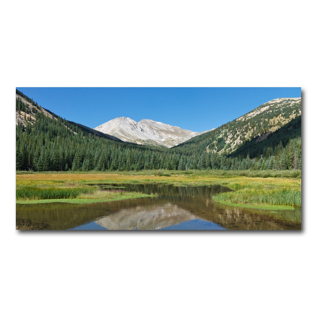 AUTO-MOCKUP WHITE | Mount Yale | 1 Piece | Gallery Wrap Canvas | group=2x1