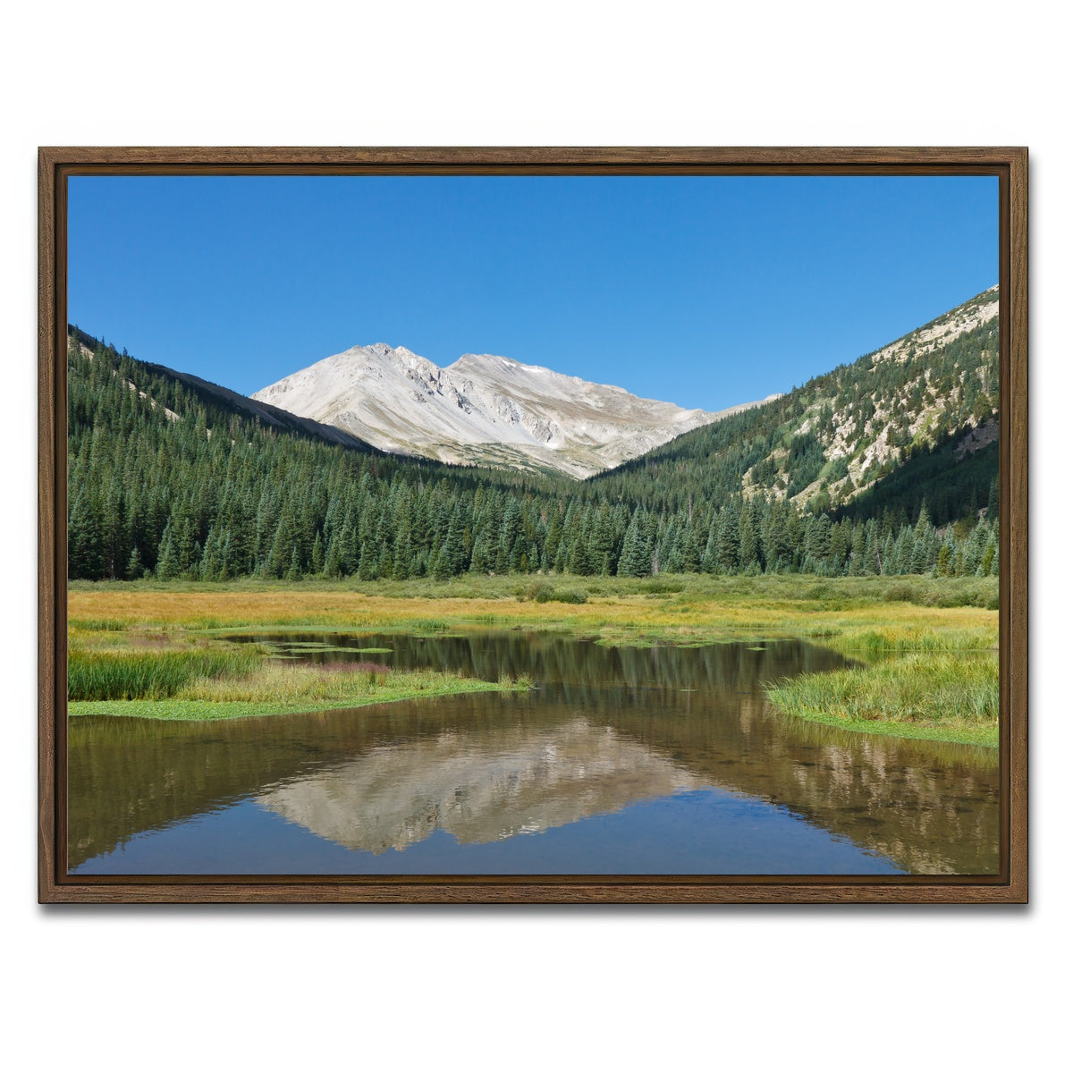AUTO-MOCKUP WHITE | Mount Yale | 1 Piece | Walnut Framed Canvas | group=4x3