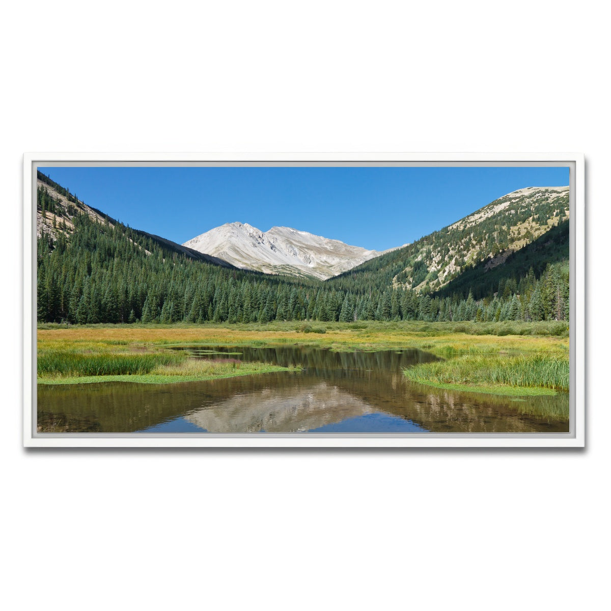 AUTO-MOCKUP WHITE | Mount Yale | 1 Piece | White Framed Canvas | group=2x1