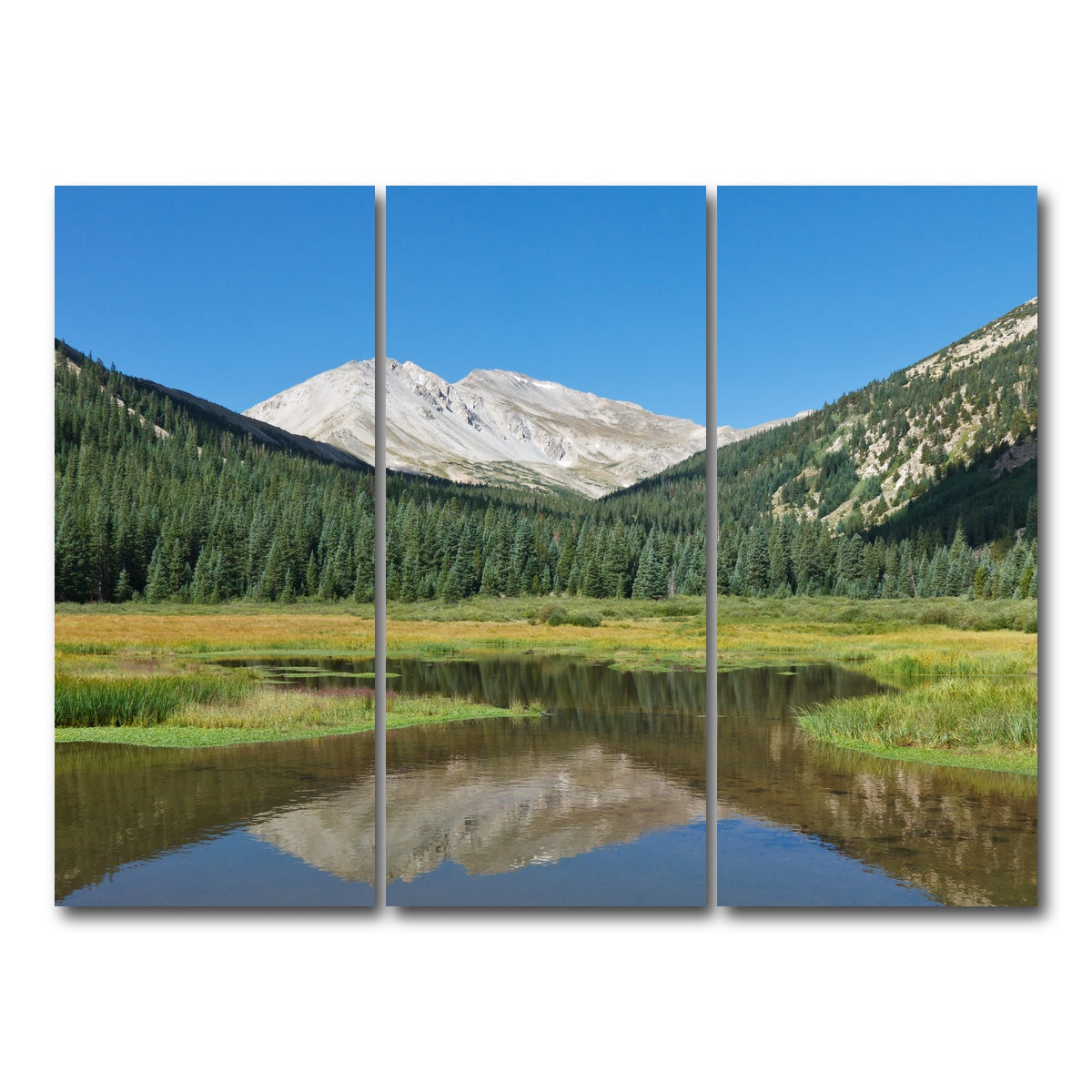 AUTO-MOCKUP WHITE | Mount Yale | 3 Piece | Gallery Wrap Canvas | group=8x18