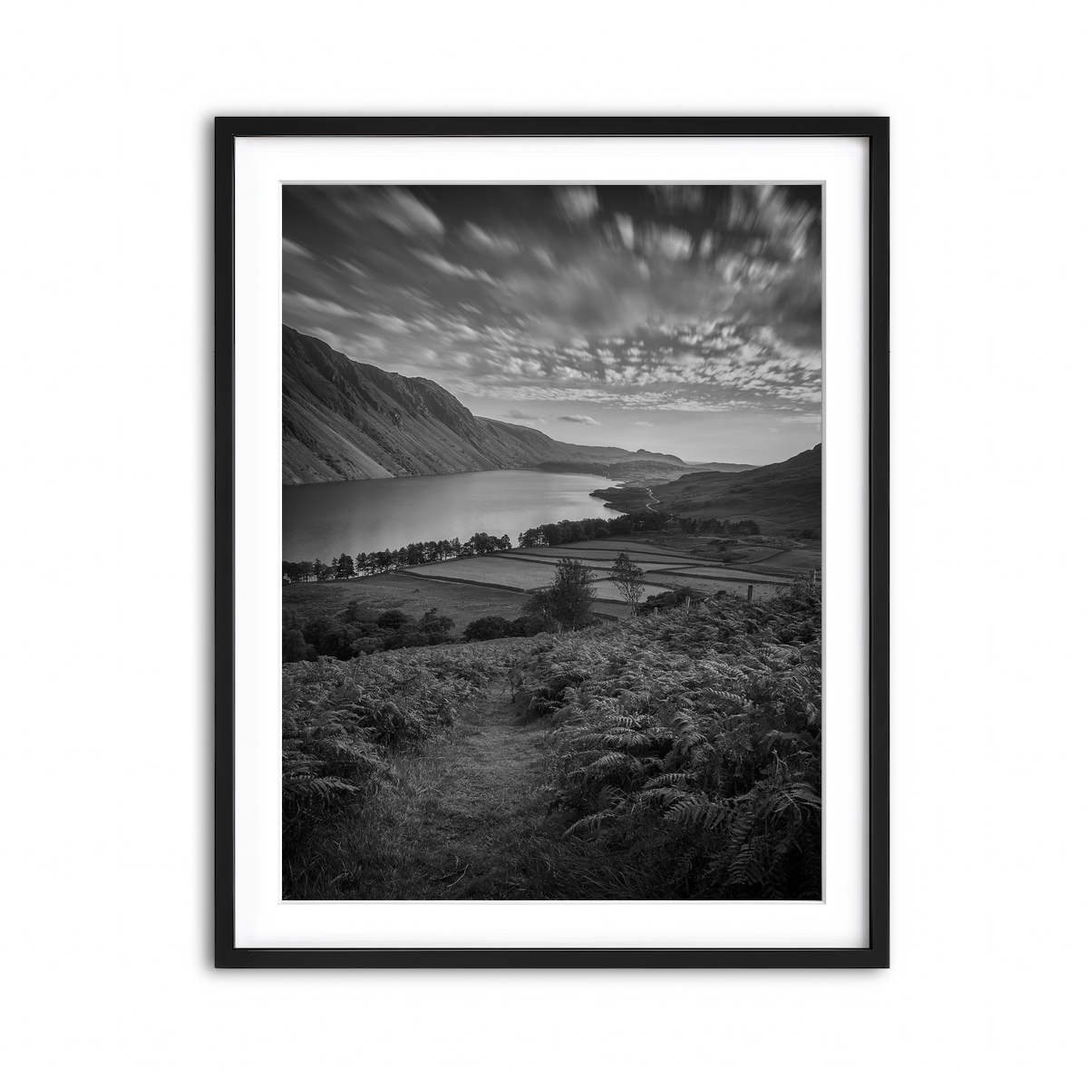 Framed Print 3x4 Black