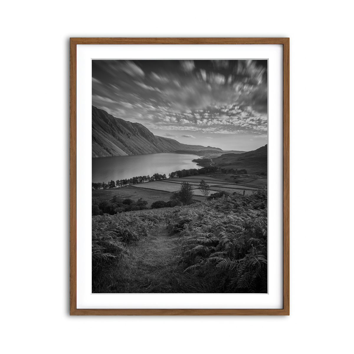 Framed Print 3x4 Walnut