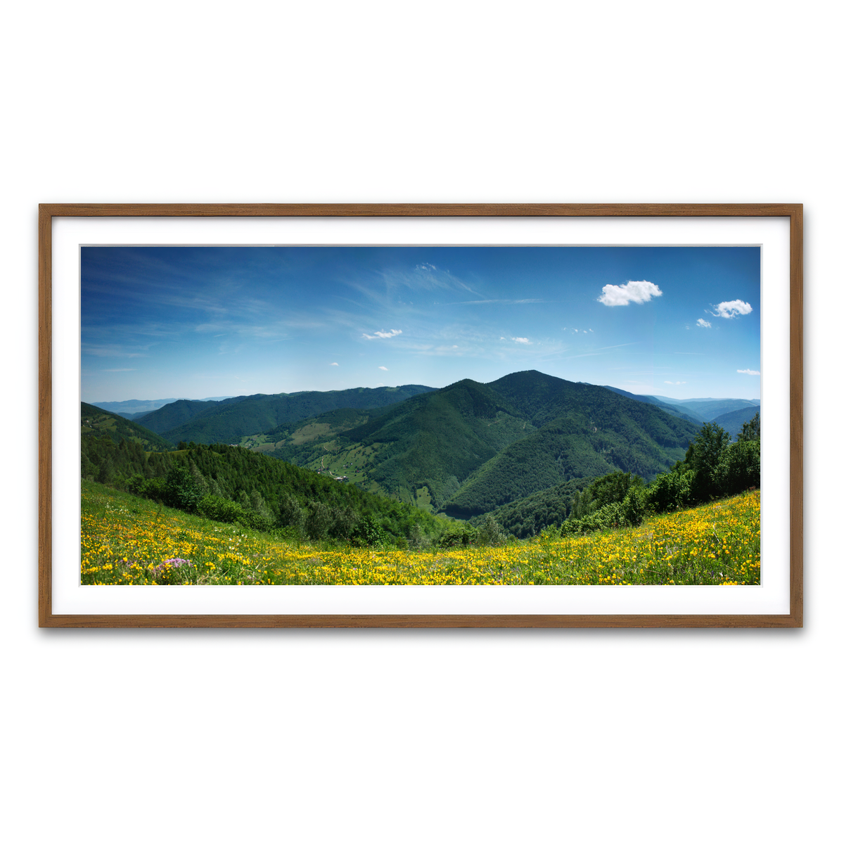 Framed Print 2x1 Walnut