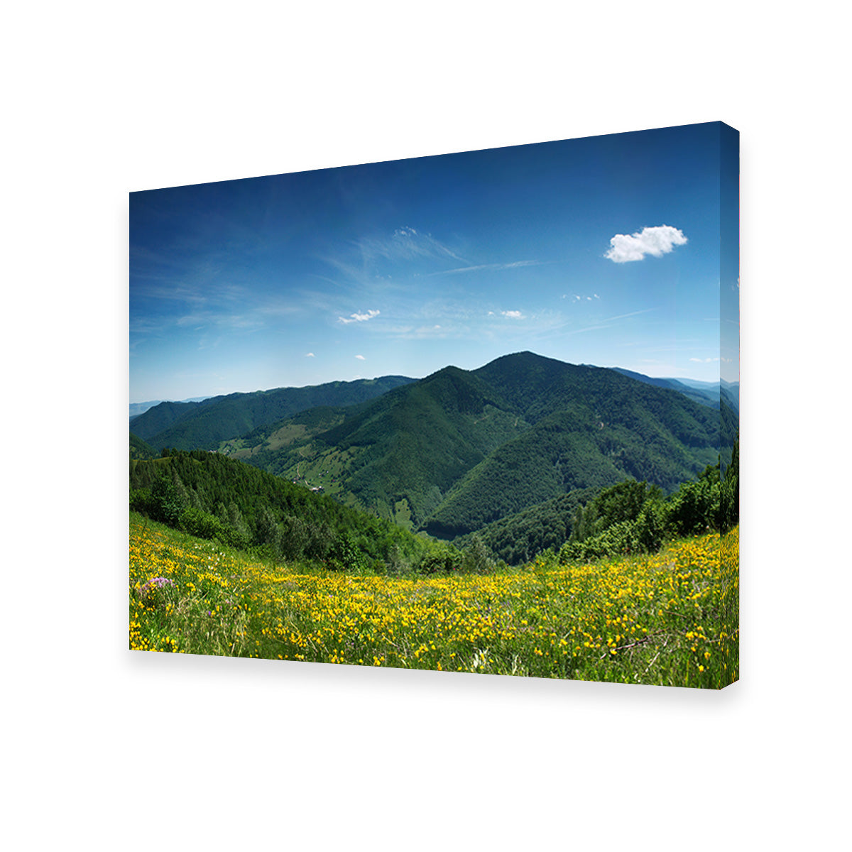 Mountain Landscape Panorama Wall Art