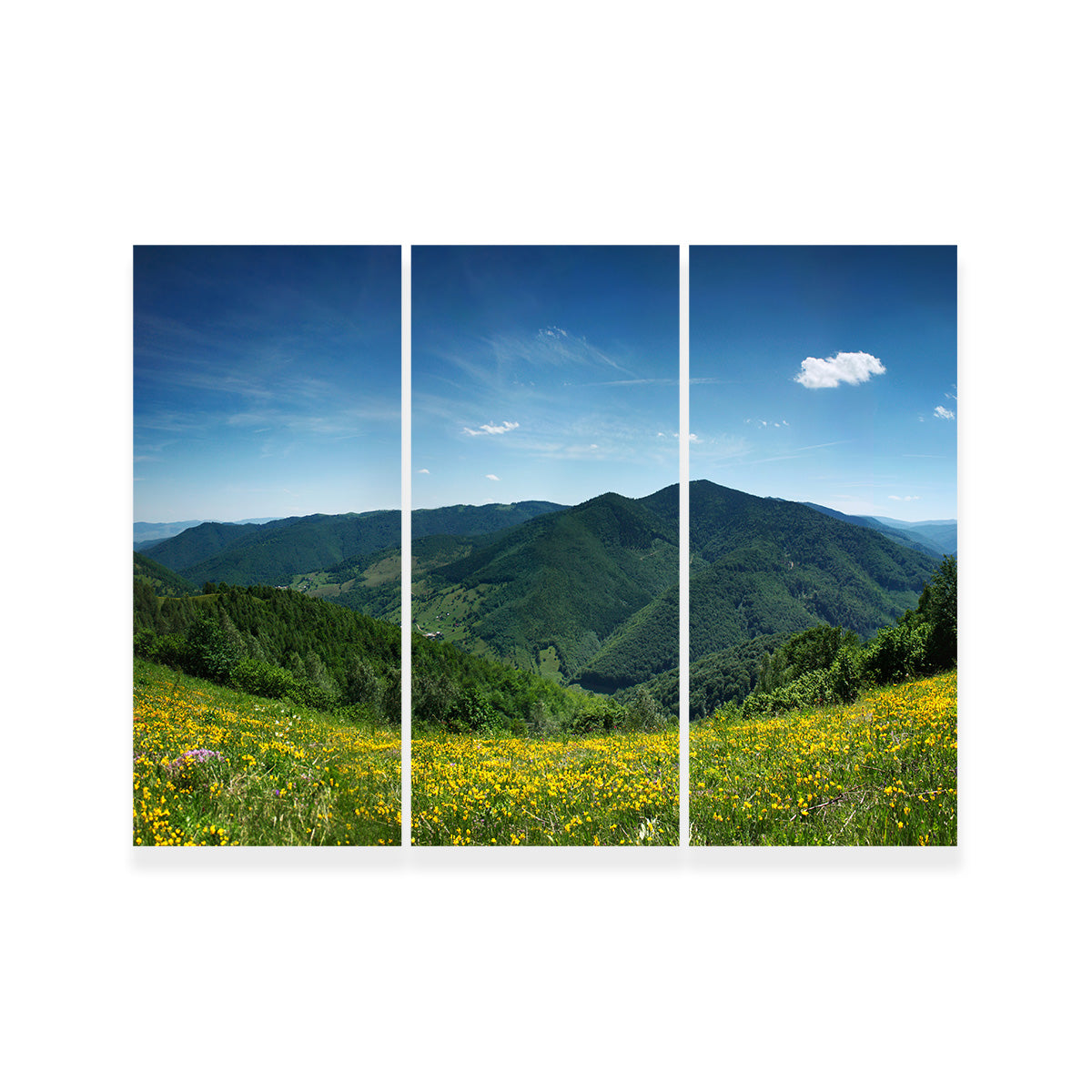 Mountain Landscape Panorama Wall Art