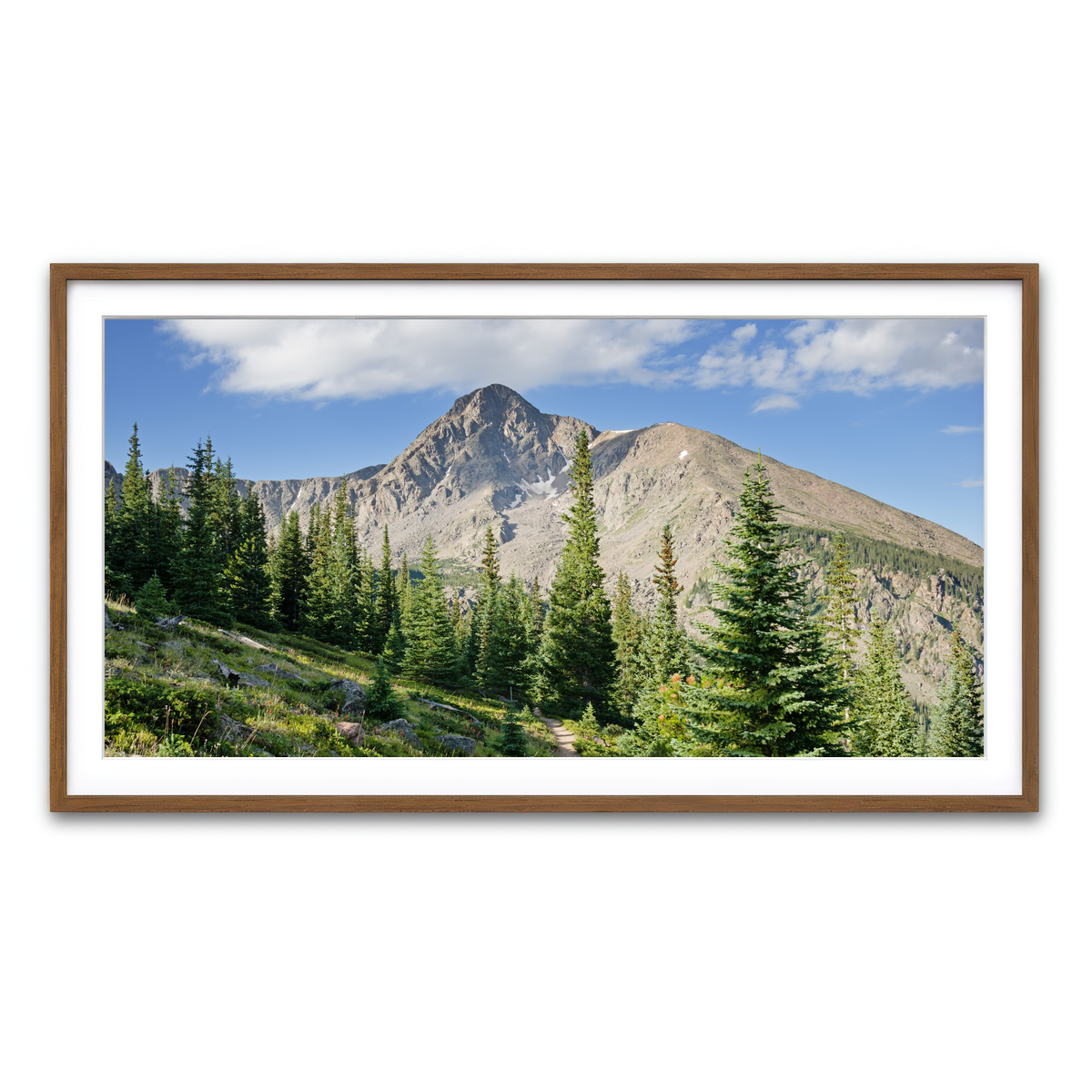Framed Print 2x1 Walnut