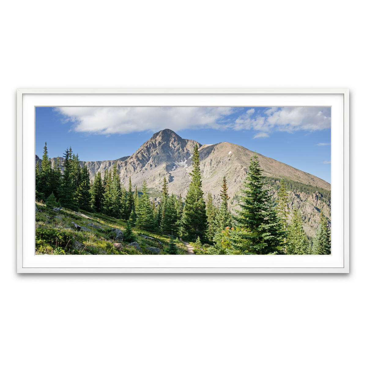 Framed Print 2x1 White