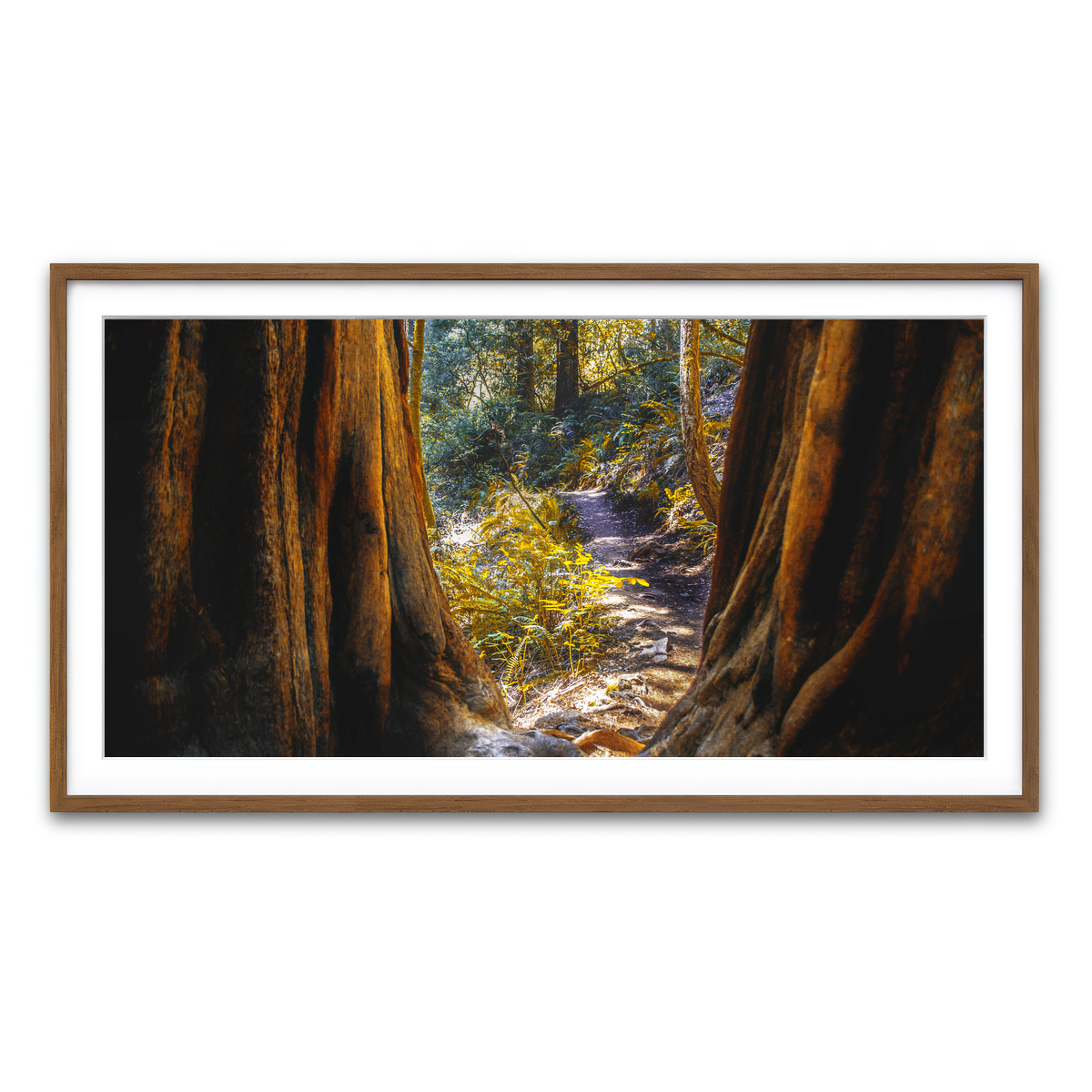 Framed Print 2x1 Walnut
