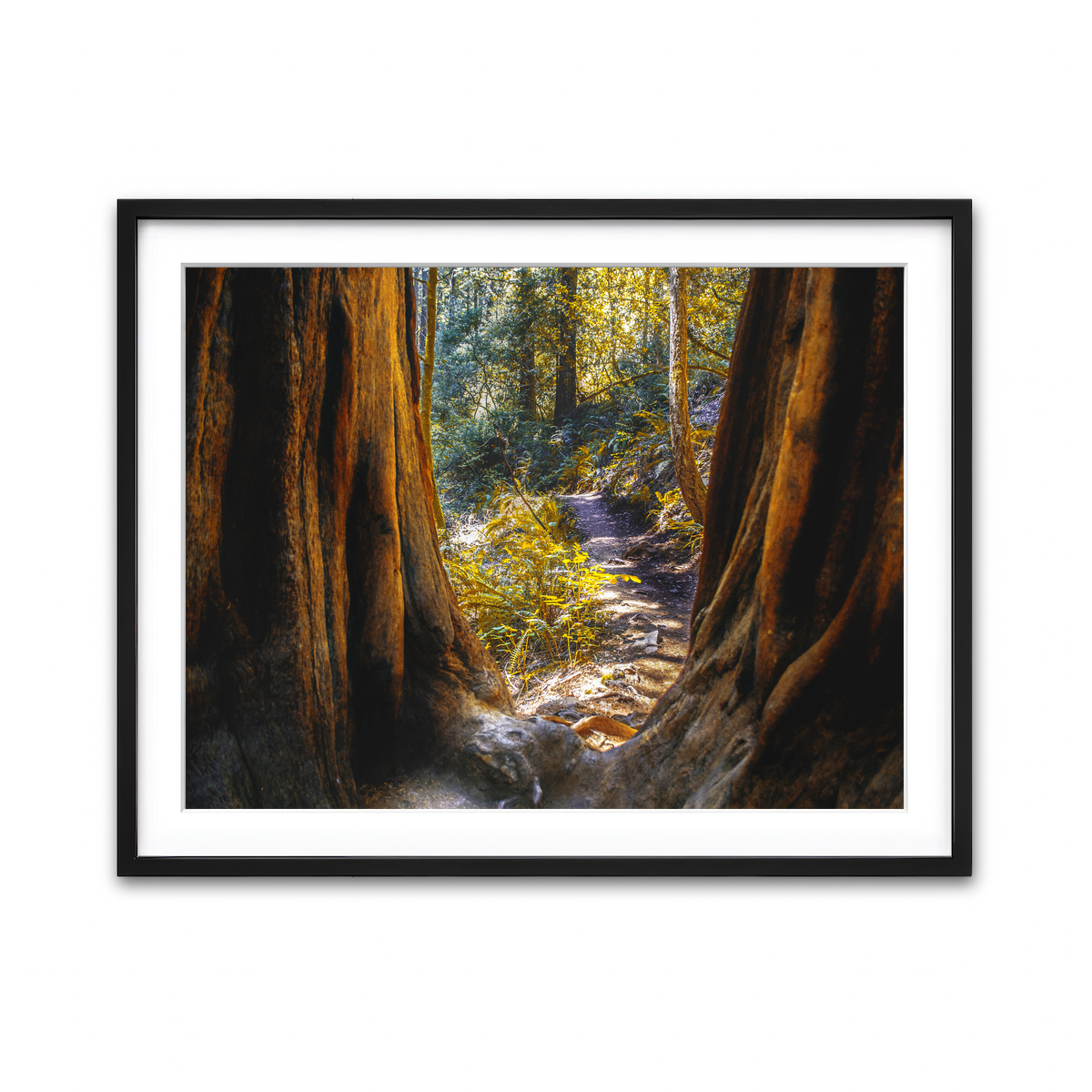 Framed Print 4x3 Black