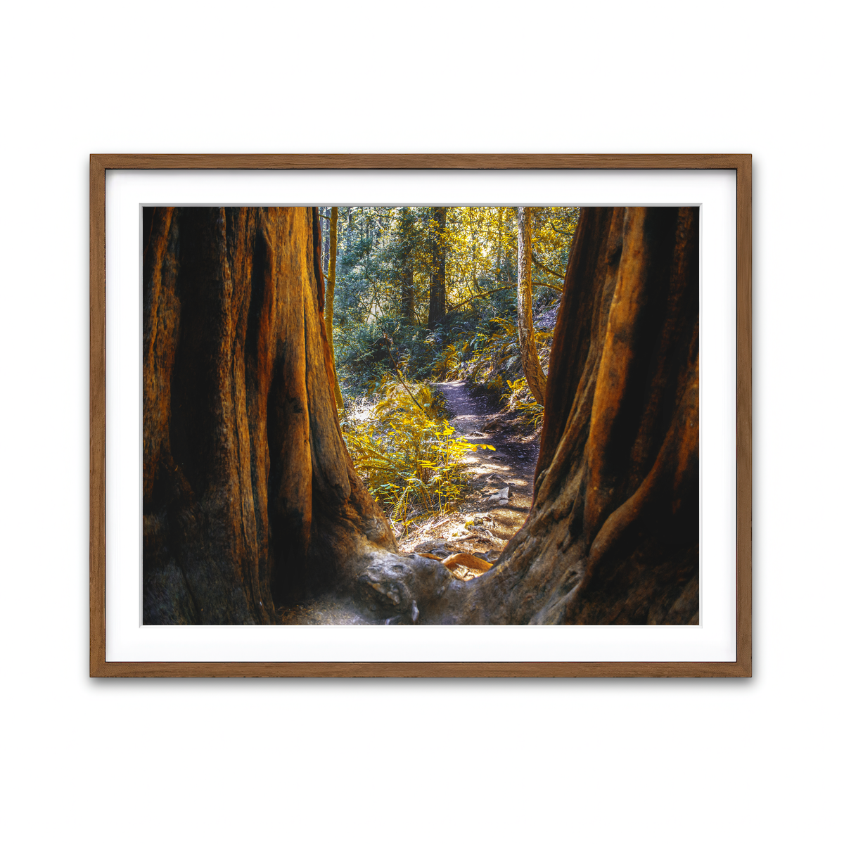 Framed Print 4x3 Walnut