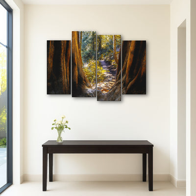 AUTO-MOCKUP ROOM | Muir Woods