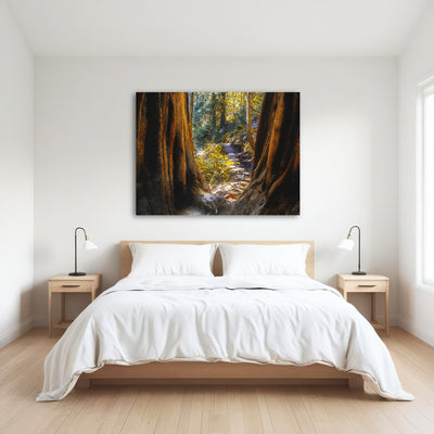 AUTO-MOCKUP ROOM | Muir Woods