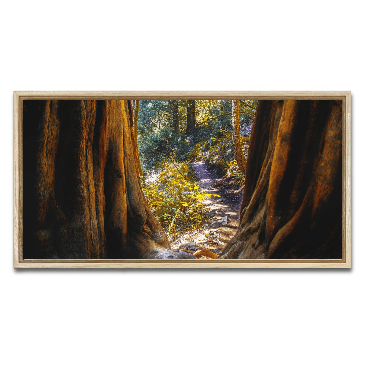 AUTO-MOCKUP WHITE | Muir Woods | 1 Piece | Natural Framed Canvas | group=2x1