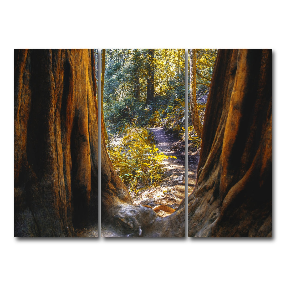 AUTO-MOCKUP WHITE | Muir Woods | 3 Piece | Gallery Wrap Canvas | group=8x18