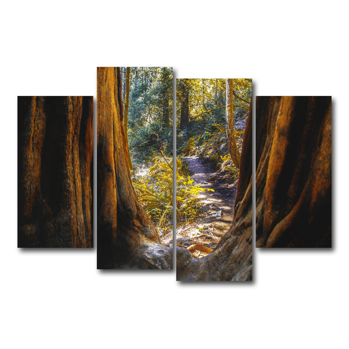 AUTO-MOCKUP WHITE | Muir Woods | 4 Piece | Gallery Wrap Canvas | group=4_short
