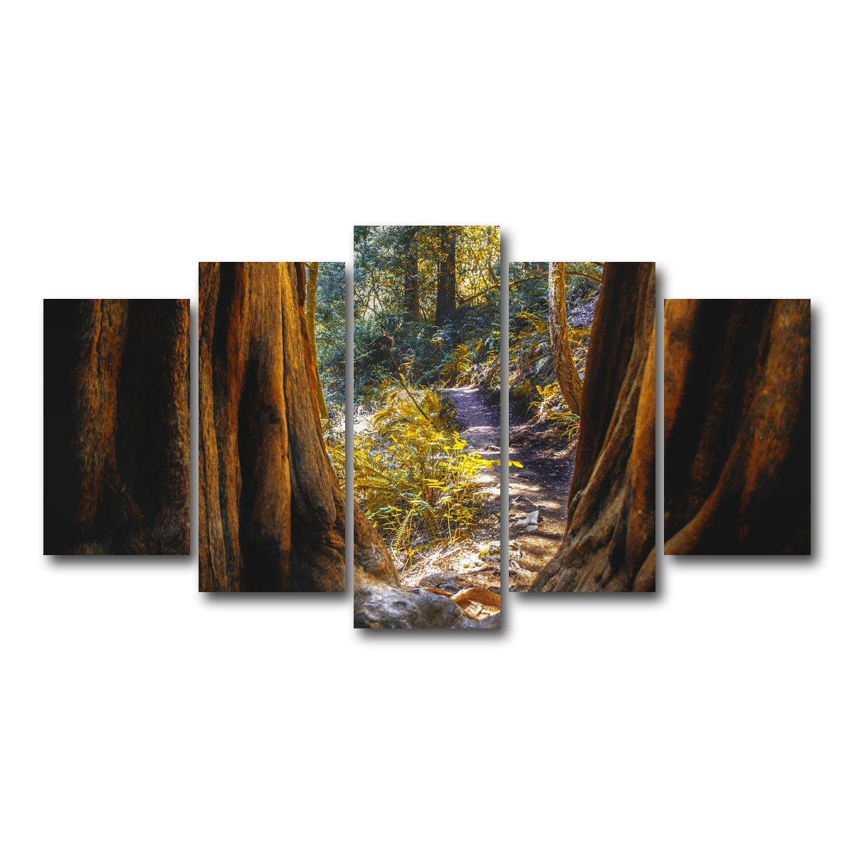 AUTO-MOCKUP WHITE | Muir Woods | 5 Piece | Gallery Wrap Canvas | group=5_normal