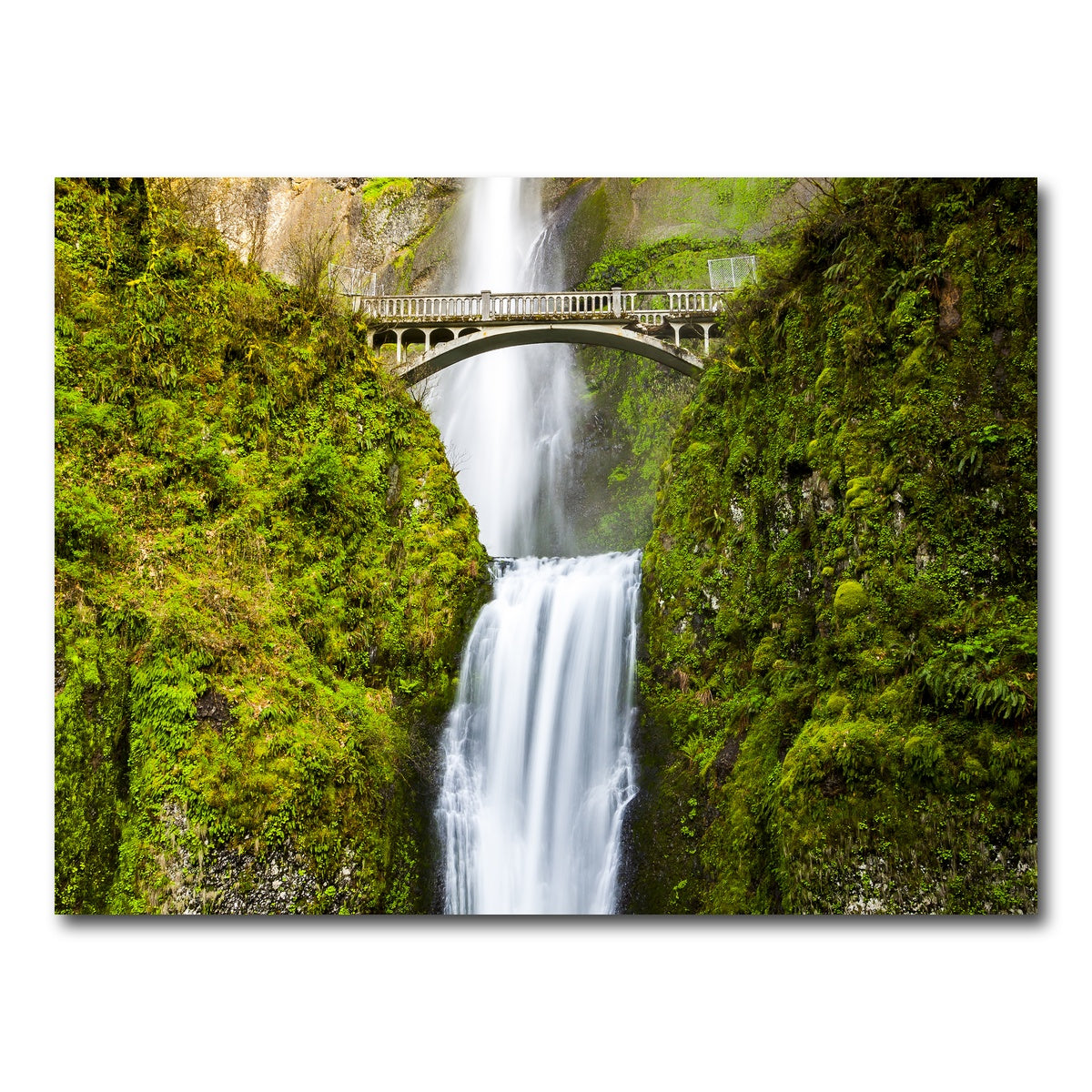AUTO-MOCKUP WHITE | Multnomah Falls | 1 Piece | Gallery Wrap Canvas | group=4x3