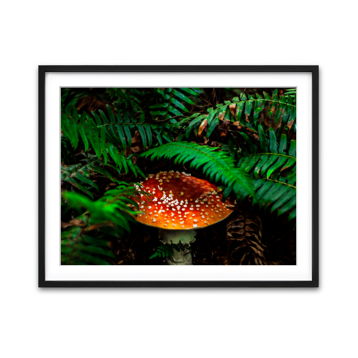 Framed Print 4x3 Black