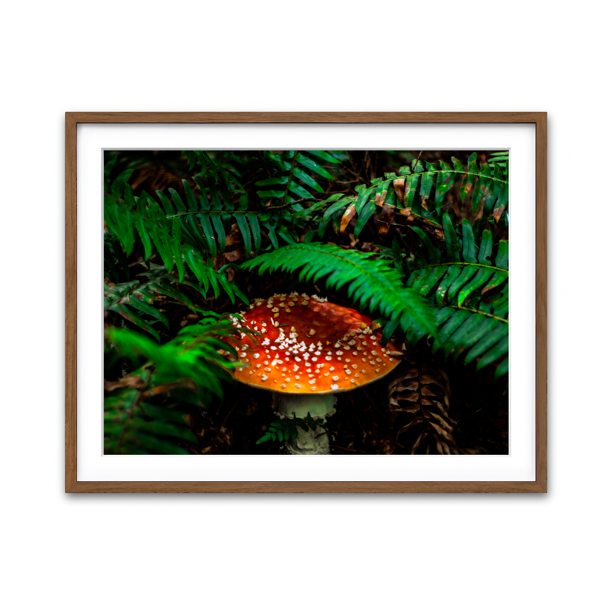 Framed Print 4x3 Walnut