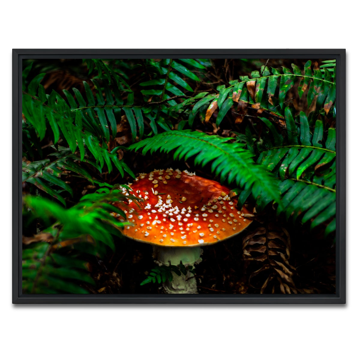 AUTO-MOCKUP WHITE | Mushroom and Ferns | 1 Piece | Black Framed Canvas | group=4x3
