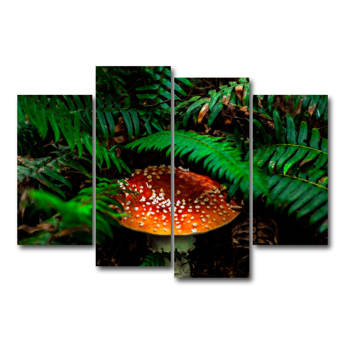 AUTO-MOCKUP WHITE | Mushroom and Ferns | 4 Piece | Gallery Wrap Canvas | group=4_short