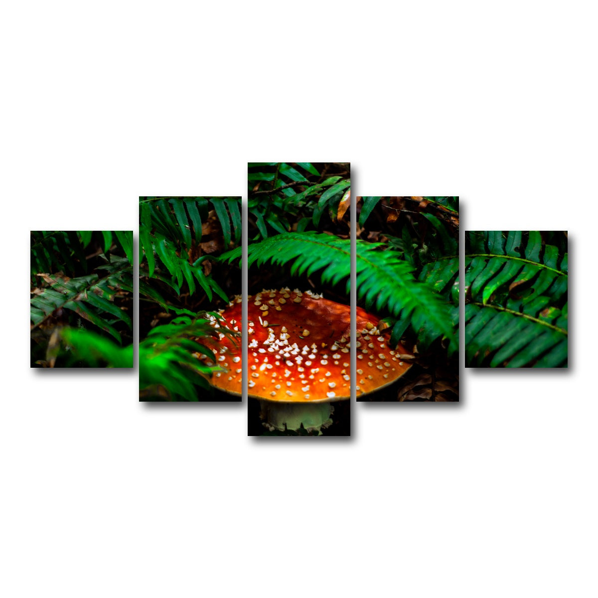 AUTO-MOCKUP WHITE | Mushroom and Ferns | 5 Piece | Gallery Wrap Canvas | group=5_short
