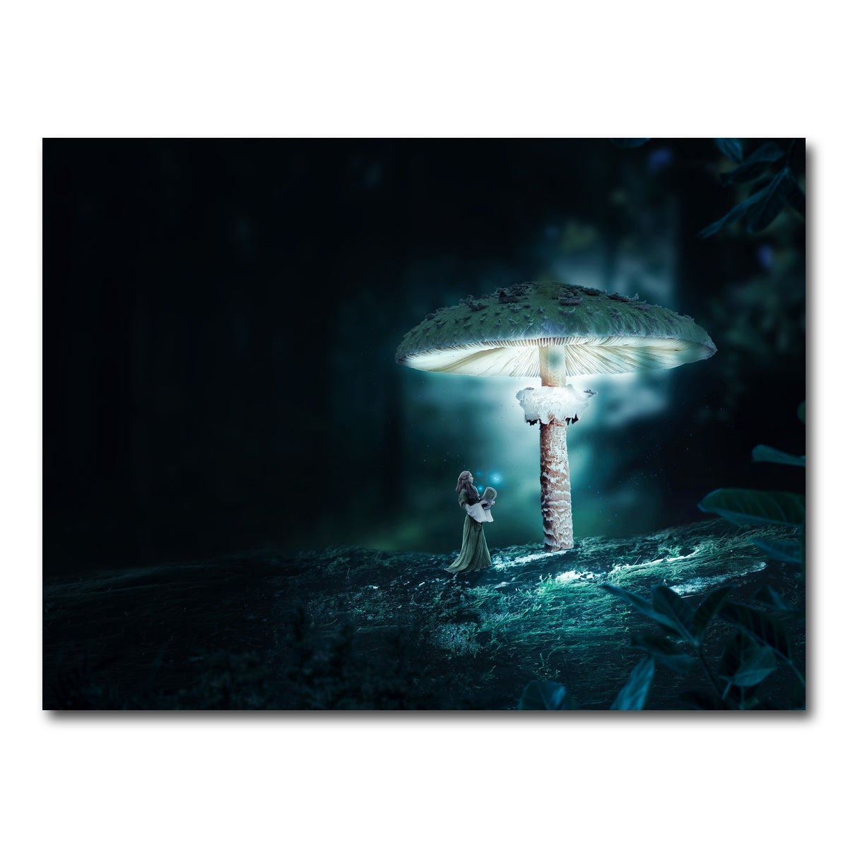 AUTO-MOCKUP WHITE | Mushrooms | 1 Piece | Gallery Wrap Canvas | group=4x3