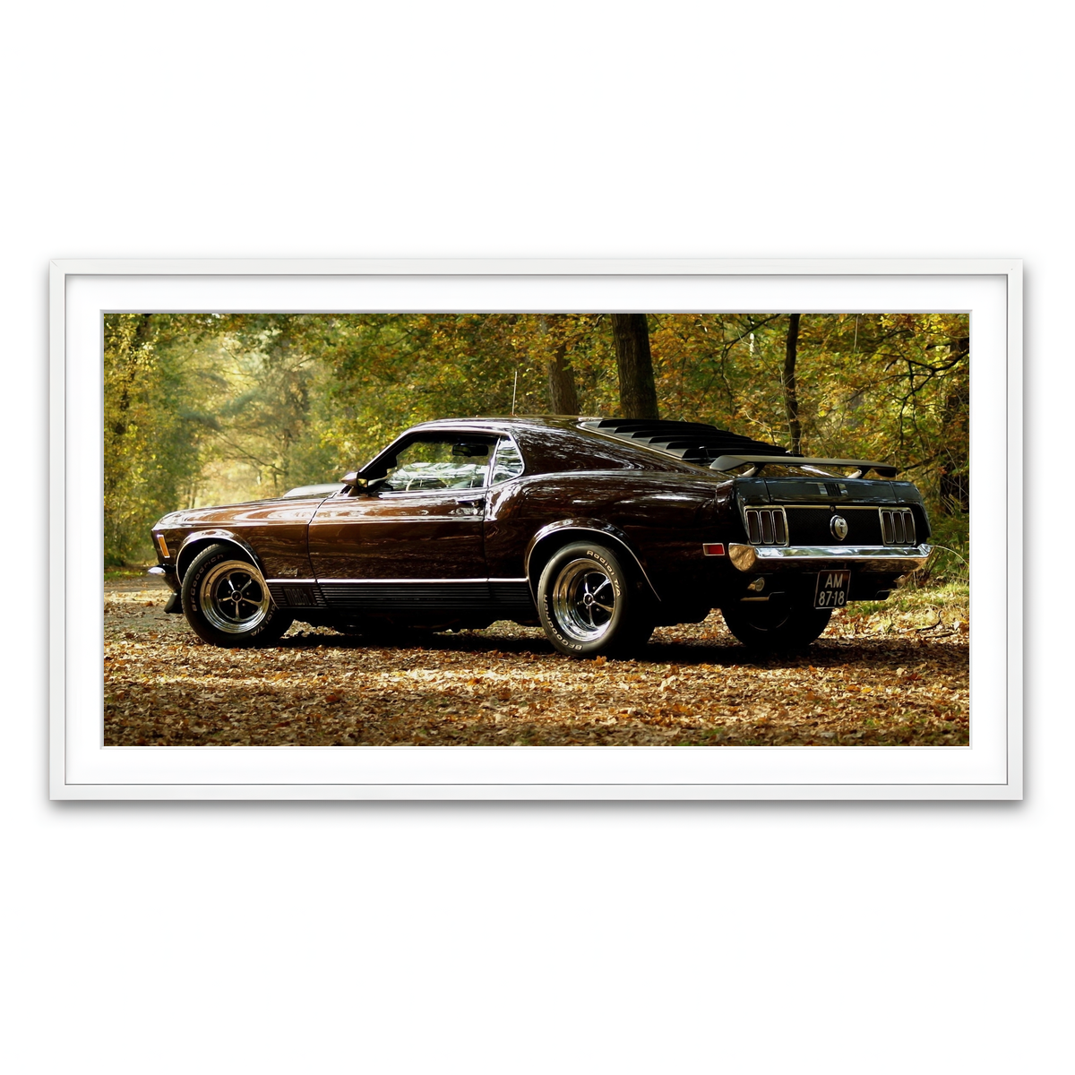 Framed Print 2x1 White