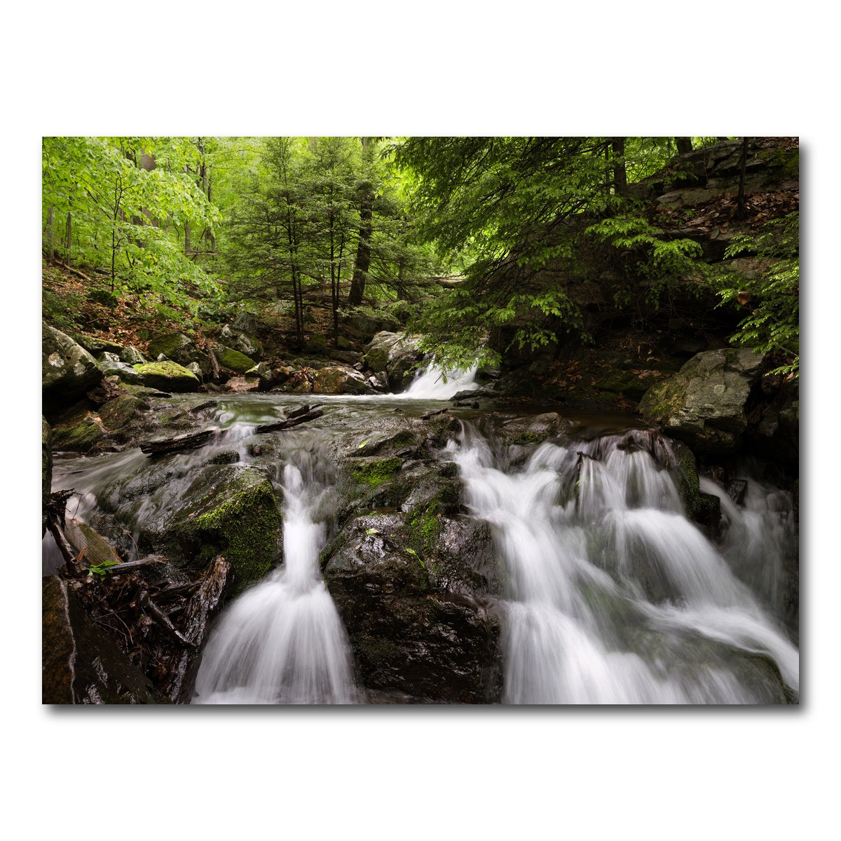 AUTO-MOCKUP WHITE | My Spot | 1 Piece | Gallery Wrap Canvas | group=4x3