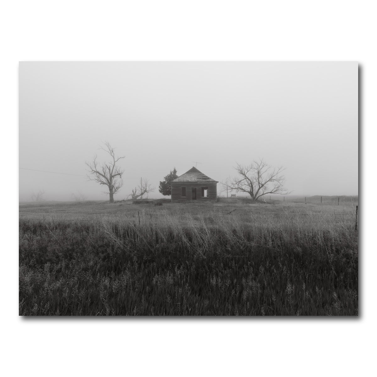 AUTO-MOCKUP WHITE | Nevermore | 1 Piece | Gallery Wrap Canvas | group=4x3