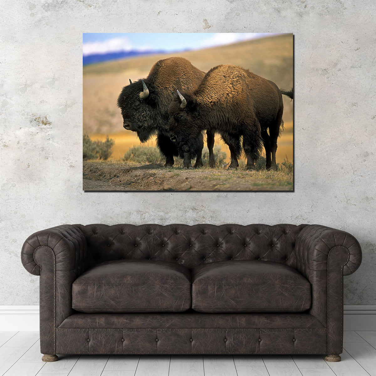 North American Buffalo Wall Art